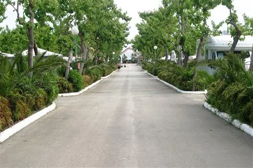 camping-playa-tropicana-alcossebre-idcwh