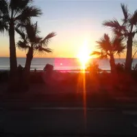 camping-playa-tropicana-alcossebre-jedex
