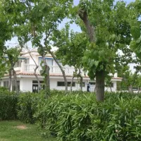 camping-playa-tropicana-alcossebre-ylhe9