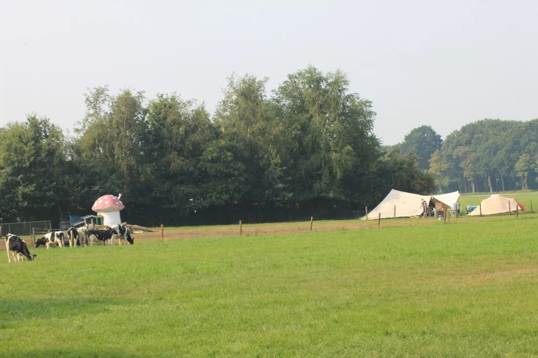 camping-t-loozerveld-loozen-av98j