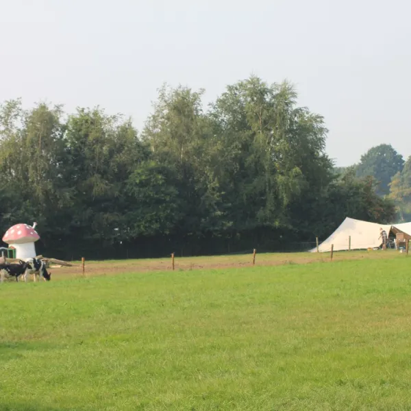 camping-t-loozerveld-loozen-av98j