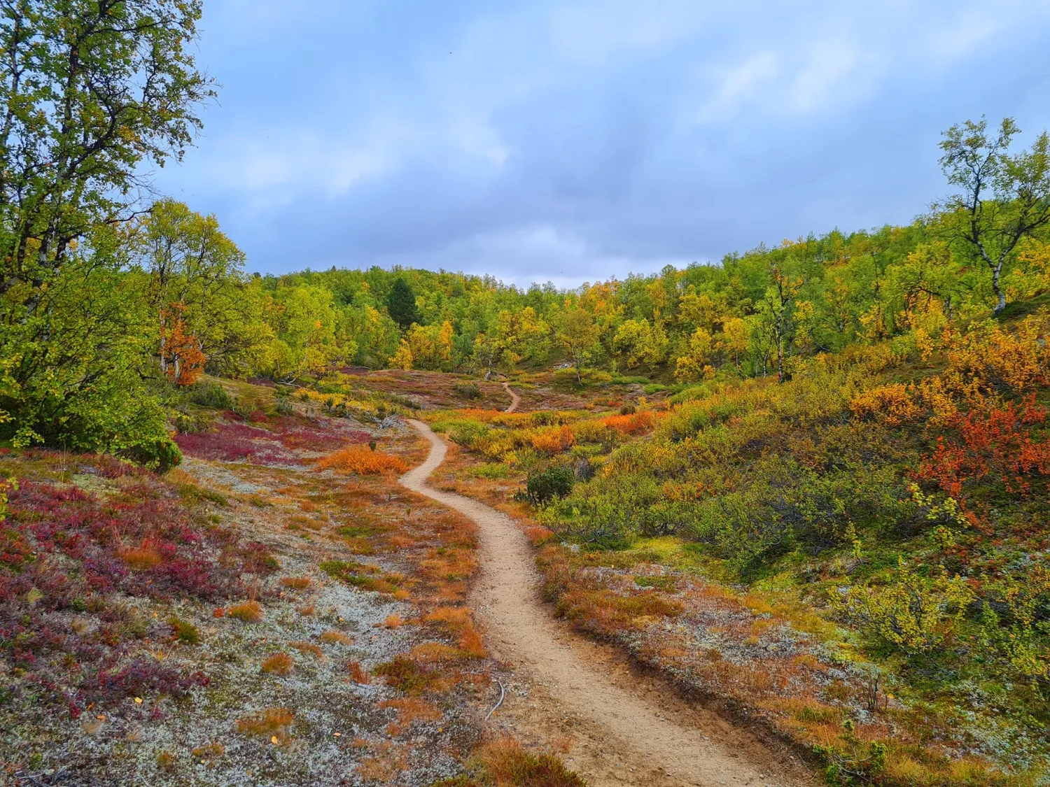 camping-gielllajohka-kaamanen-aorn8