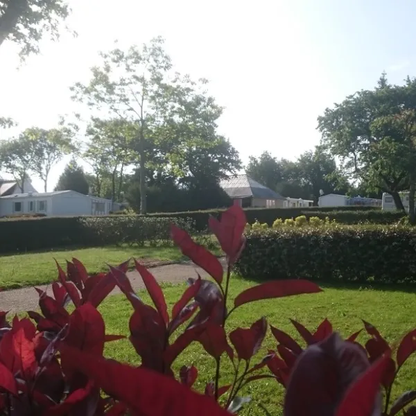 camping-la-grande-lande-moelan-sur-mer-kn9mh