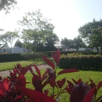 camping-la-grande-lande-moelan-sur-mer-kn9mh