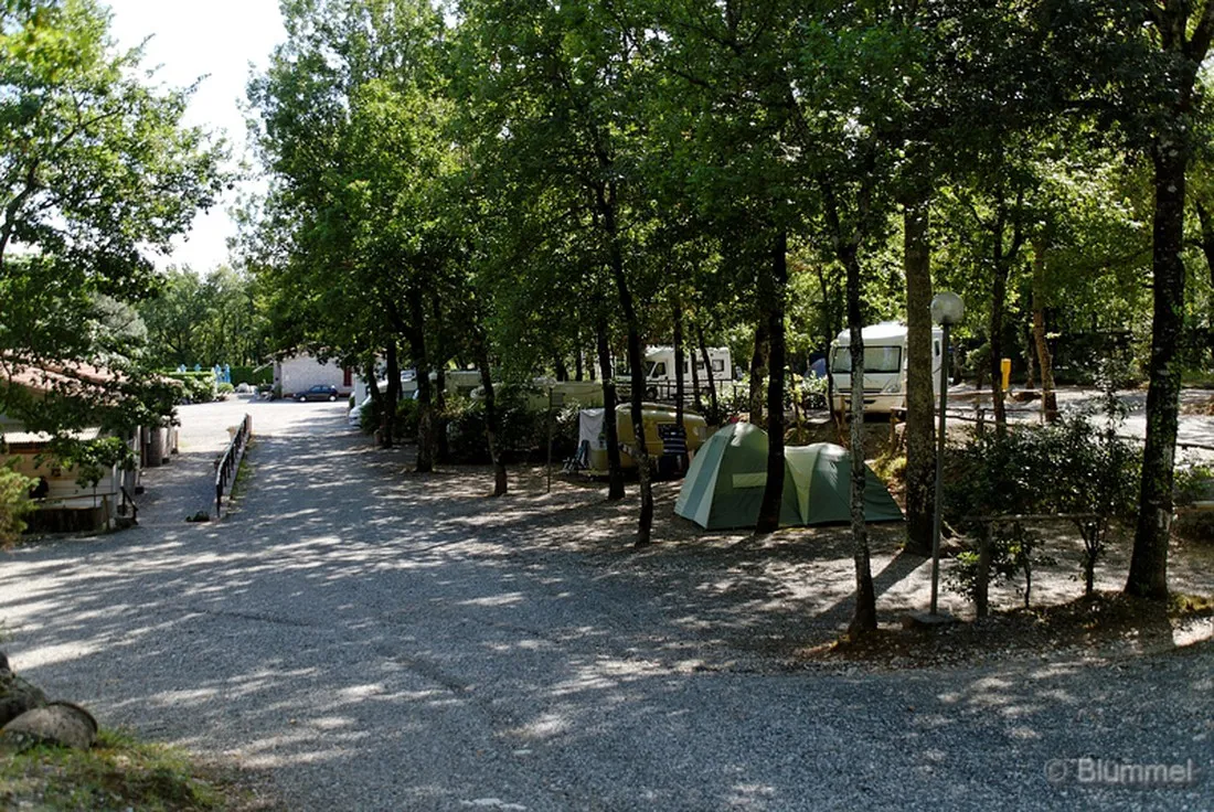 campeggio-la-montagnola-sovicille-siena-mcqfu