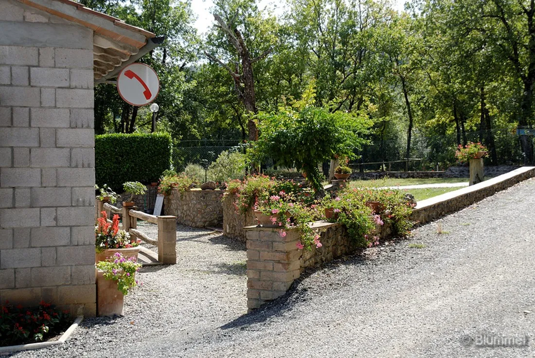campeggio-la-montagnola-sovicille-siena-qguwb