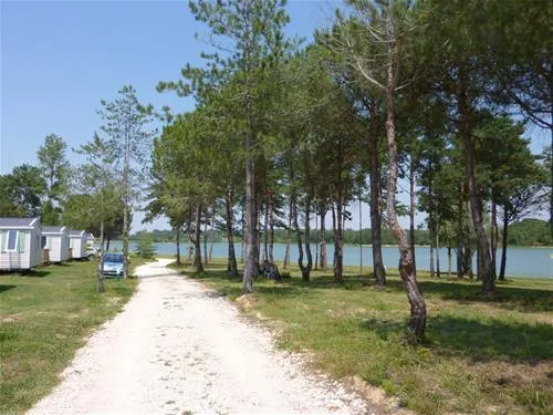 flower-camping-lac-de-thoux-st-cricq-thoux-5qrej