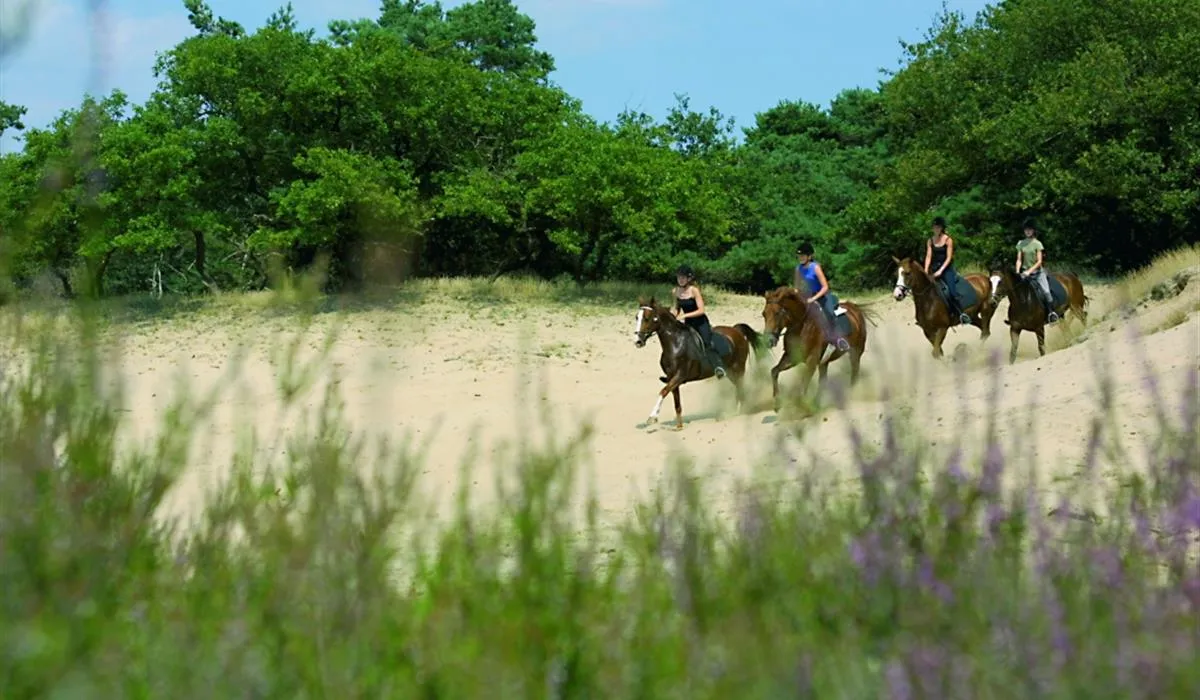 camping-manege-urena-sint-anthonis-aysfk