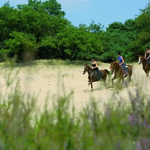 camping-manege-urena-sint-anthonis-aysfk