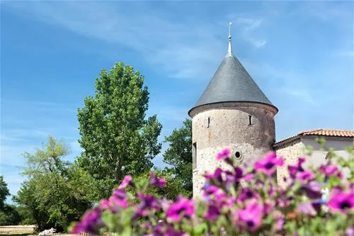 domaine-des-forges-avrill-b7zxs