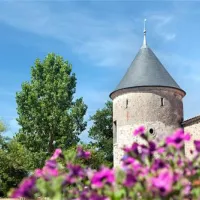 domaine-des-forges-avrill-b7zxs