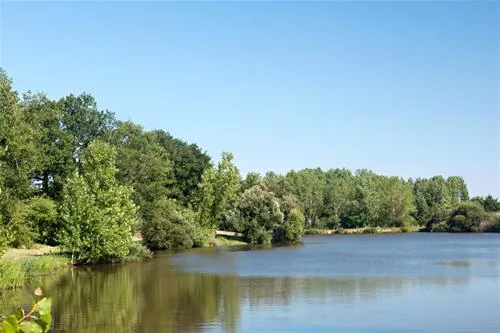 domaine-des-forges-avrill-dntxj