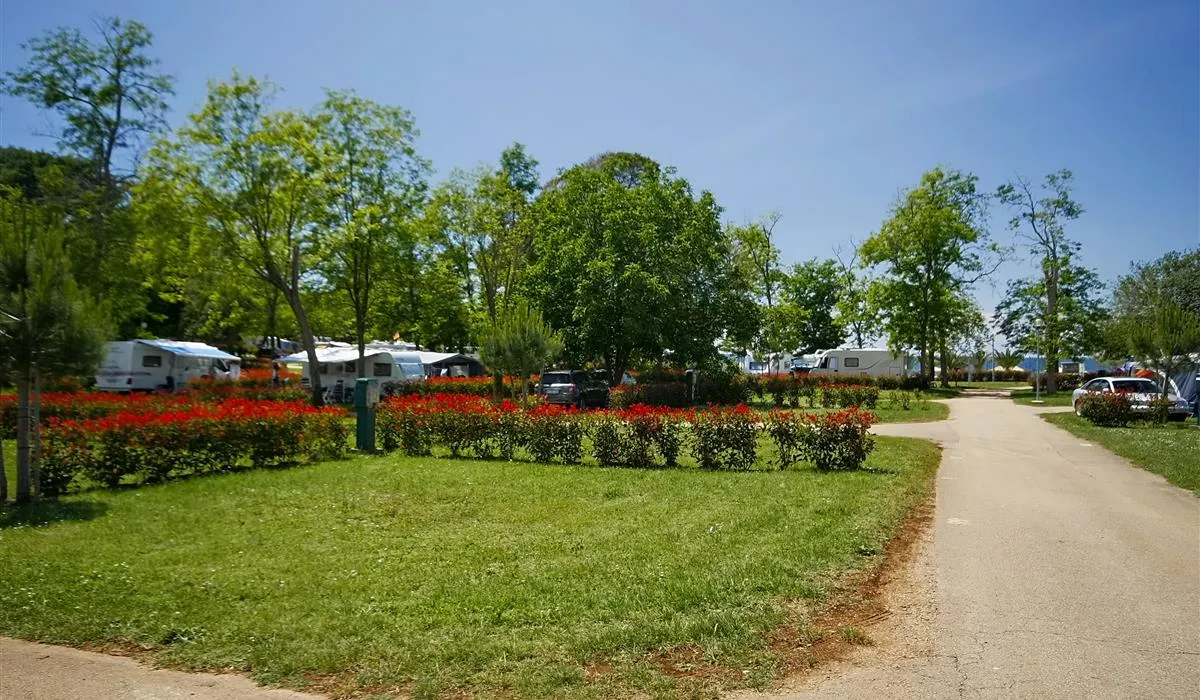 camping-park-mareda-novigrad-cko9r