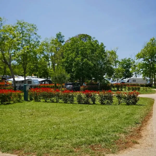 camping-park-mareda-novigrad-cko9r