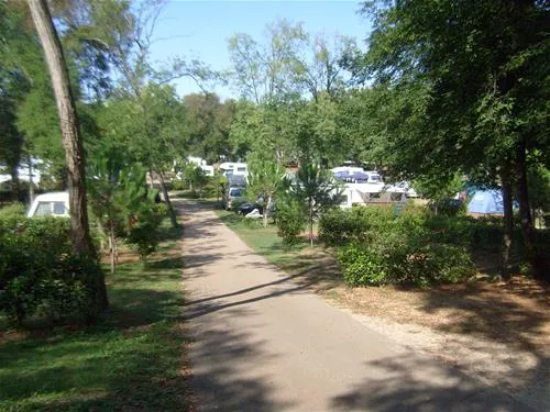 camping-park-mareda-novigrad-skwdm