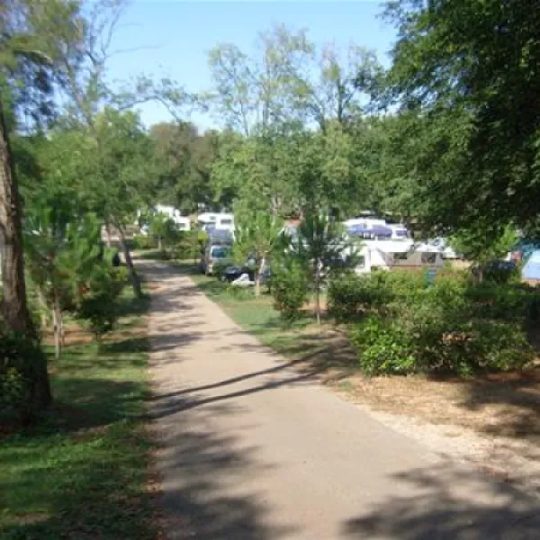 camping-park-mareda-novigrad-skwdm