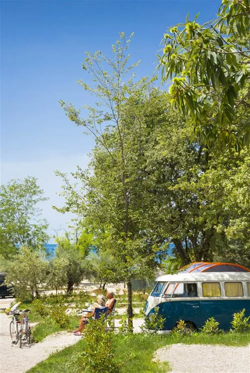 camping-park-mareda-novigrad-znpja