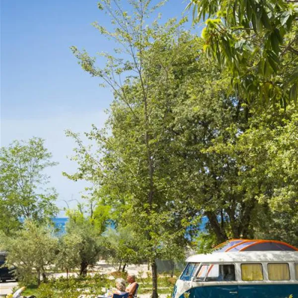 camping-park-mareda-novigrad-znpja