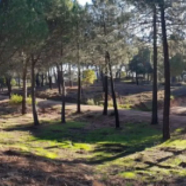 los-villares-cordoba-julyy