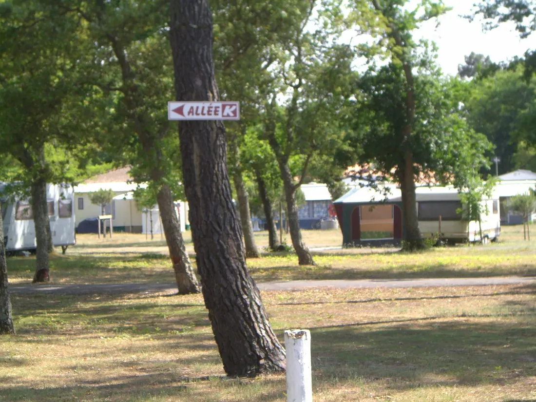albret-messanges-landes-c9obh