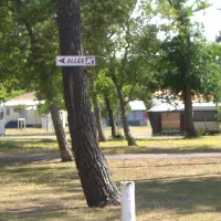 Albret