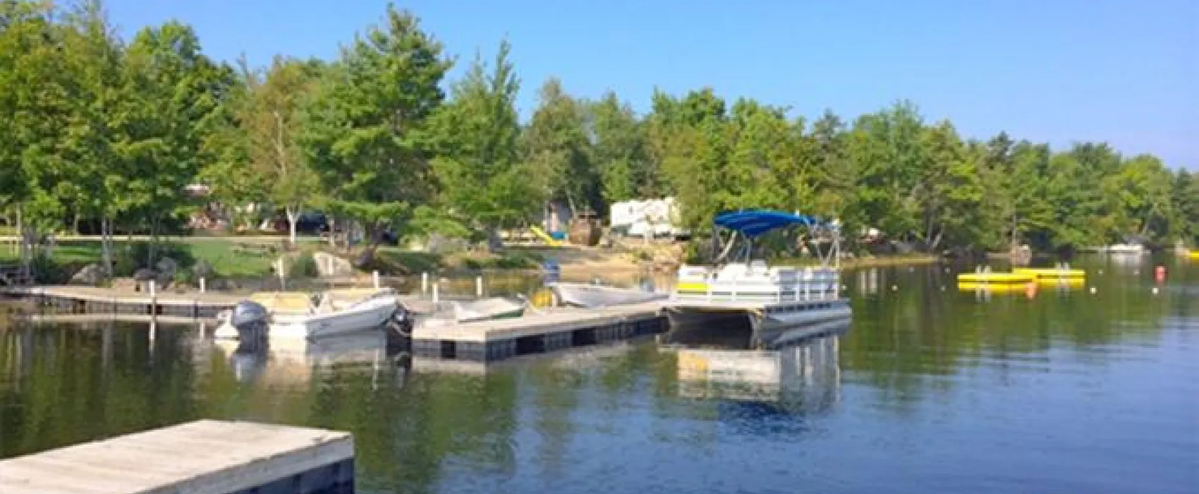 Balsam Cove Campground