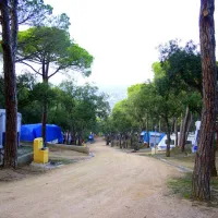 Camping Castell D'aro