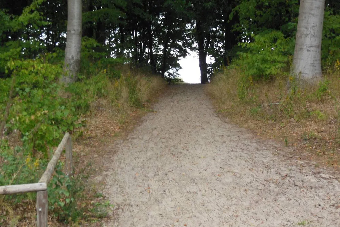 naturcampingplatz-am-strand-uckeritz-usedom-uckeritz-aplck