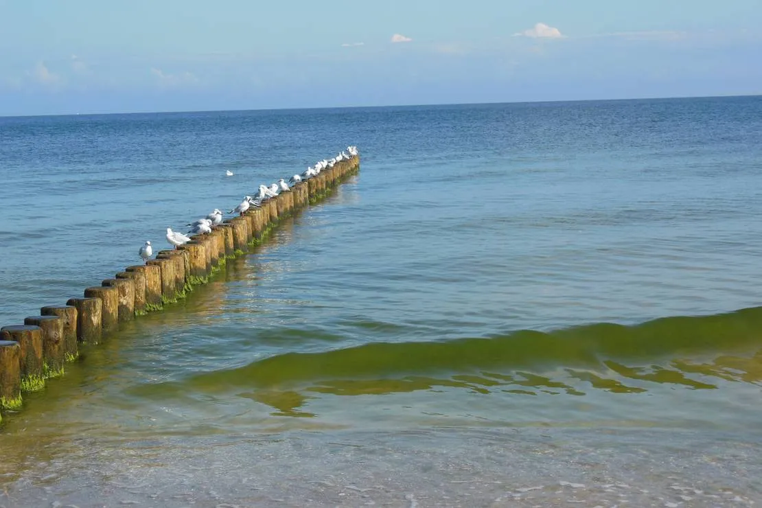 naturcampingplatz-am-strand-uckeritz-usedom-uckeritz-dlf2g