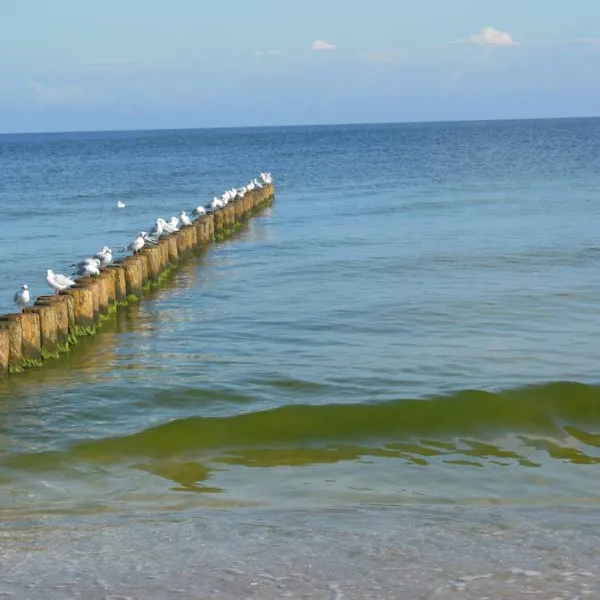 naturcampingplatz-am-strand-uckeritz-usedom-uckeritz-dlf2g