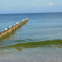 naturcampingplatz-am-strand-uckeritz-usedom-uckeritz-dlf2g