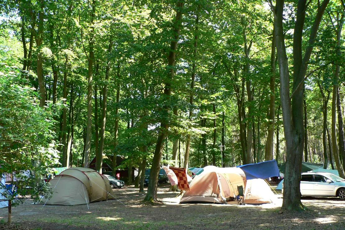 naturcampingplatz-am-strand-uckeritz-usedom-uckeritz-f7tbk