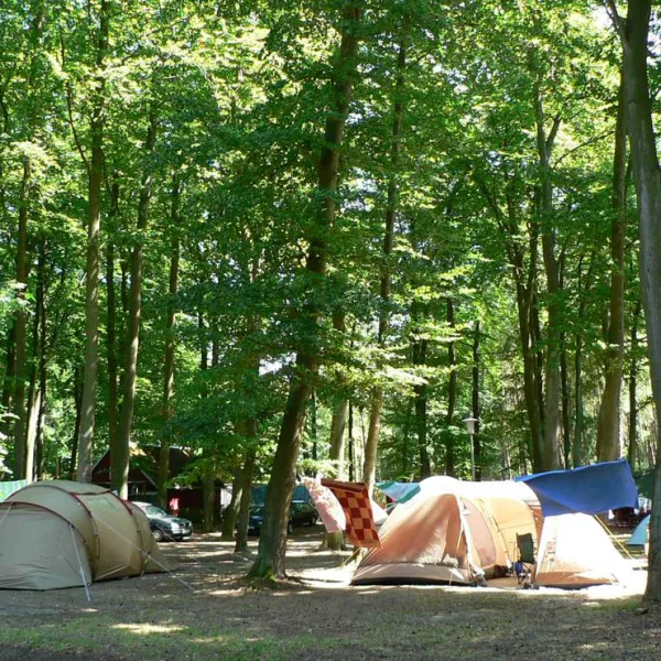 naturcampingplatz-am-strand-uckeritz-usedom-uckeritz-f7tbk
