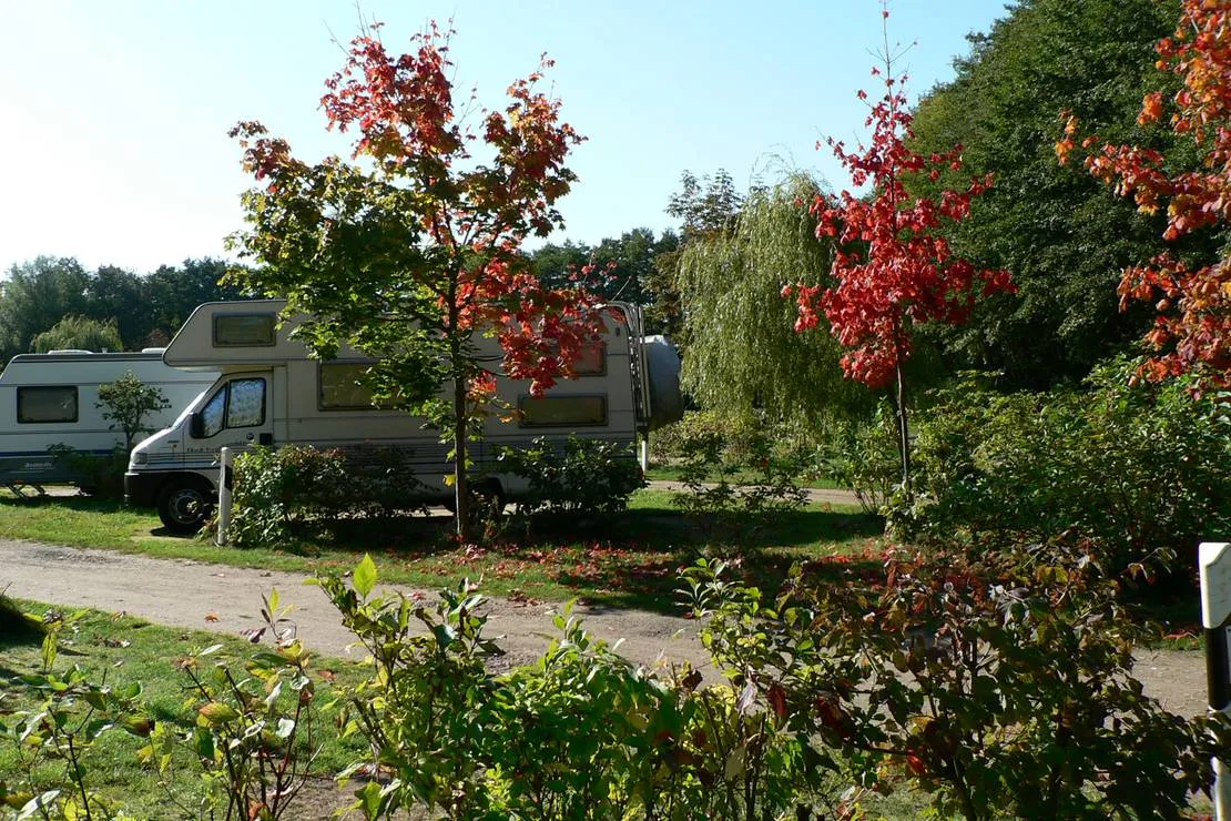 naturcampingplatz-am-strand-uckeritz-usedom-uckeritz-guc8t