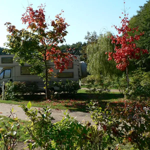 naturcampingplatz-am-strand-uckeritz-usedom-uckeritz-guc8t