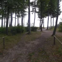 naturcampingplatz-am-strand-uckeritz-usedom-uckeritz-kmujo