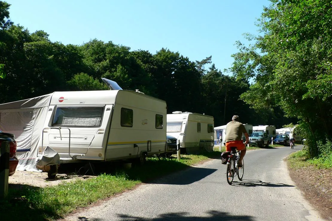 naturcampingplatz-am-strand-uckeritz-usedom-uckeritz-ptobr