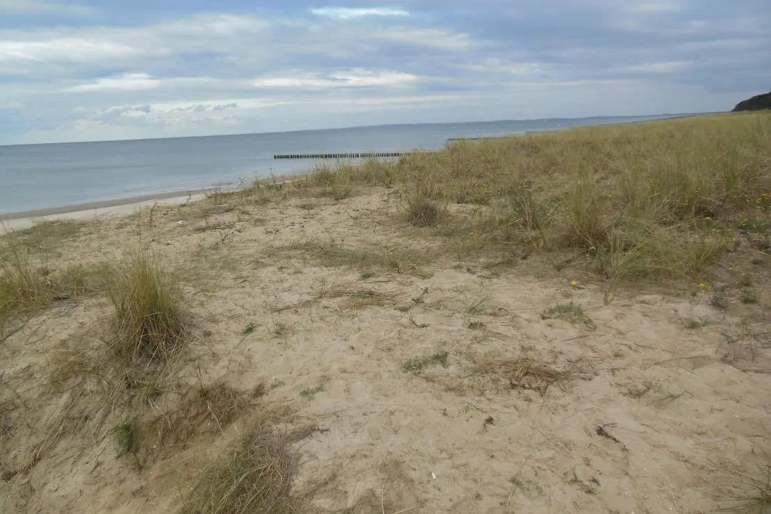 naturcampingplatz-am-strand-uckeritz-usedom-uckeritz-xfbsn