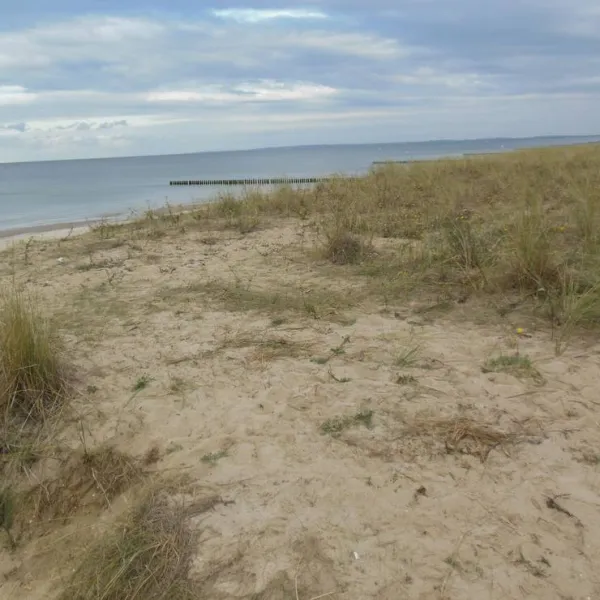 naturcampingplatz-am-strand-uckeritz-usedom-uckeritz-xfbsn
