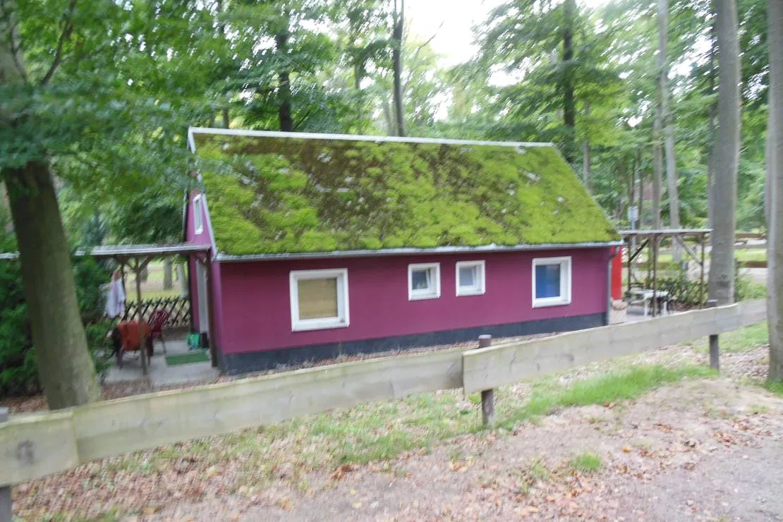 naturcampingplatz-am-strand-uckeritz-usedom-uckeritz-xo284