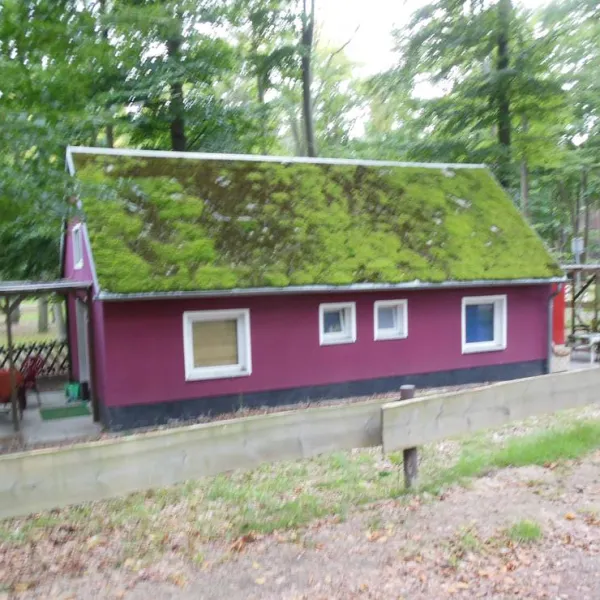 naturcampingplatz-am-strand-uckeritz-usedom-uckeritz-xo284