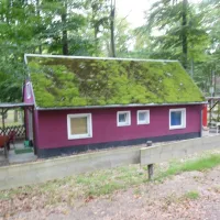naturcampingplatz-am-strand-uckeritz-usedom-uckeritz-xo284