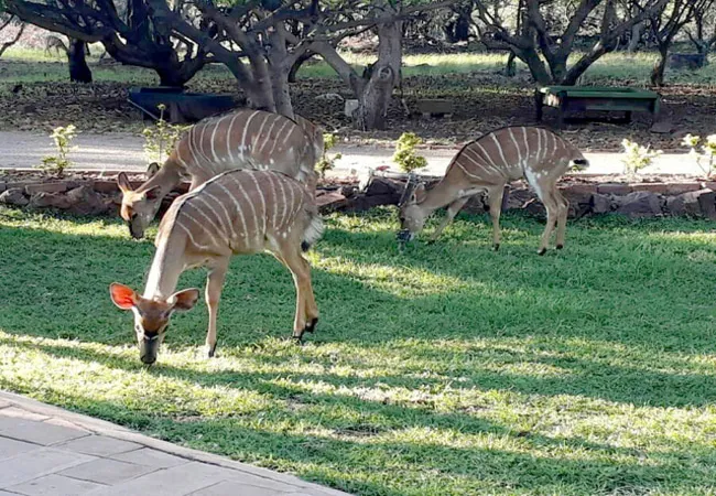 shala-mushe-tented-camp-portion-34-droogekloof-farm-hcadm