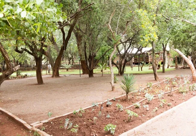 shala-mushe-tented-camp-portion-34-droogekloof-farm-kbzbc