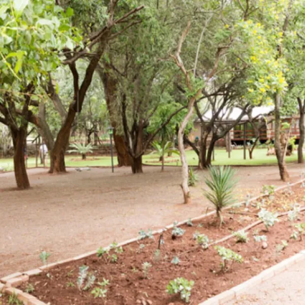 shala-mushe-tented-camp-portion-34-droogekloof-farm-kbzbc