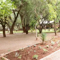 shala-mushe-tented-camp-portion-34-droogekloof-farm-kbzbc