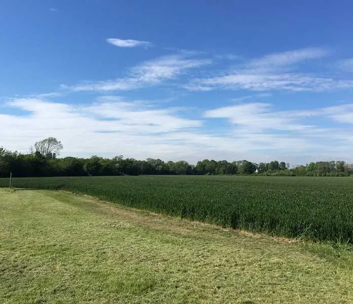 ryebank-corner-littlehampton-zoodz