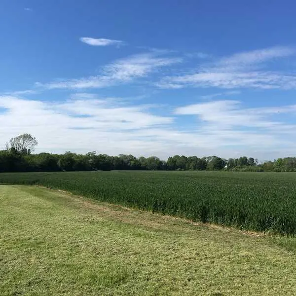 ryebank-corner-littlehampton-zoodz