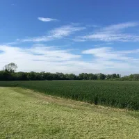 ryebank-corner-littlehampton-zoodz