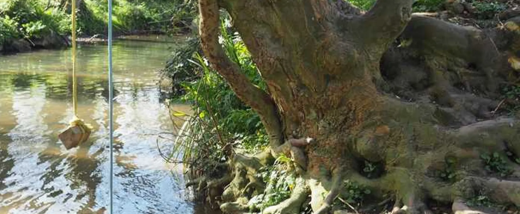 Stowford Manor Farm